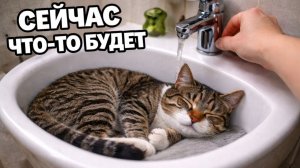 Смех до слёз: лучшие приколы №256