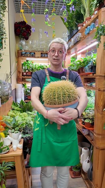 Истории из жизни. История про большой кактус