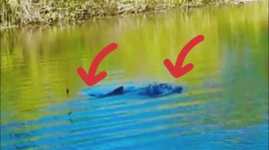 ЭТО ЧТО ВООБЩЕ ? 25 МИНУТ НЕ МОГУ ПОДНЯТЬ рыбалка на поплавок