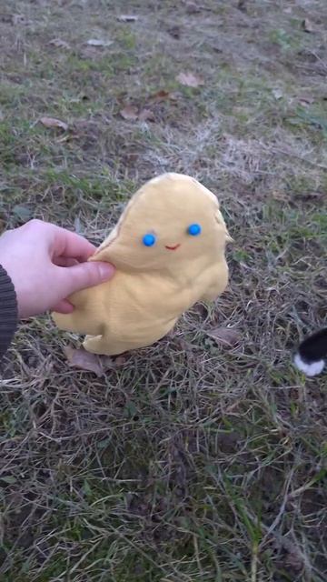 Кот атакует