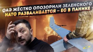 Украина обделалась – шейхи их опозорили! НАТО летит в бездну – Киев поставил не на тех!