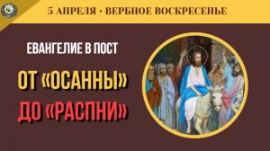 5 Апреля Они кричали «Распни Его!» через 5 дней Трагедия Вербного воскресенья (5 минут)