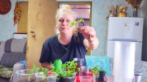 ХОЧУ ОБРАТИТСЯ К ОЛЬГЕ,О КОММЕНТАРИЯХ,МОЖЕТ ЛЮДИ ИЗДЕВАЮТСЯ ИЛИ ТУПОРЫЛЫЕ