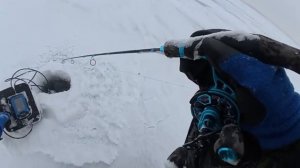 ПОСТАВИЛ ПРИМАНКУ И ОНА СДЕЛАЛА ВСЮ РЫБАЛКУ! Зимняя рыбалка 2026