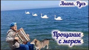 Прощание с Чёрным морем. Уезжаем домой / Санаторий Русь. Анапа