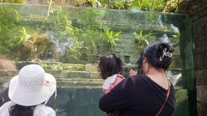 День четвёртый. Зоопарк.