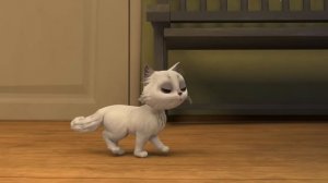 🍿🐈⬛ КОТЕНОК 🐈⬛ Мультфильм для детей. Про Миру и Гошу.