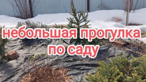 Небольшая прогулка по саду