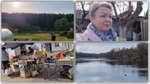 ЕДЕМ В ГОРОД ПРОГУЛЯТЬСЯ ПО РЫНКУ, А НА ИСТОЧНИКЕ УЖЕ ПРИЛЕТЕЛИ ЛЕБЕДИ.