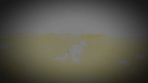 ||Эдит wildcraft кенгуру||Давайте добьём 15 подписчиков||