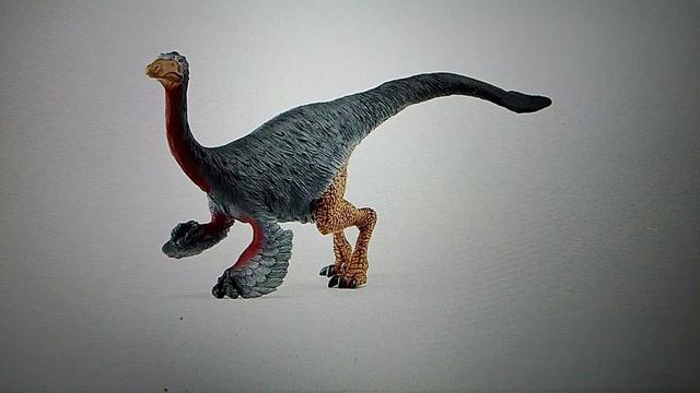 полная эвалюцыя птиц