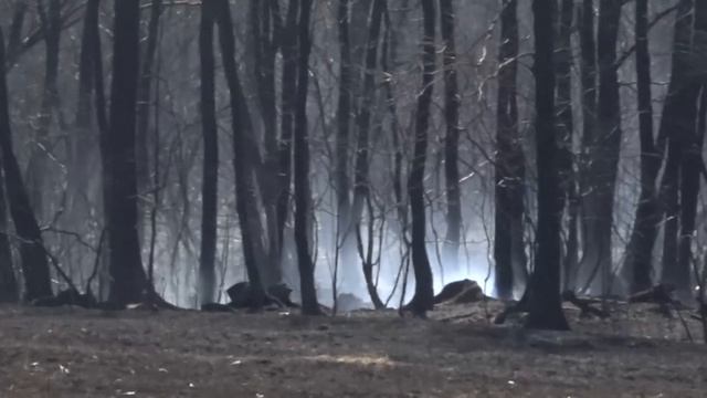 03.04.2026_Новости_6+