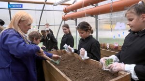 В селе Терновка школьники собирают первый урожай в своей теплице