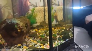 Вяжем мочалки, живём в деревне. 30.10.2023.