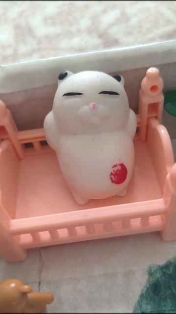 утро кота Васи