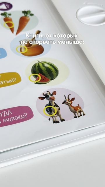 Нажималка 5в1 «Хочу всё знать»