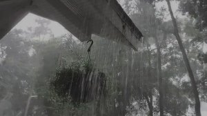 песня порез на собаке — дичает апрель полная версия