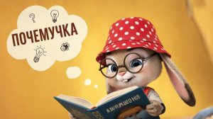Обучающий мультфильм для детей | Почемучка