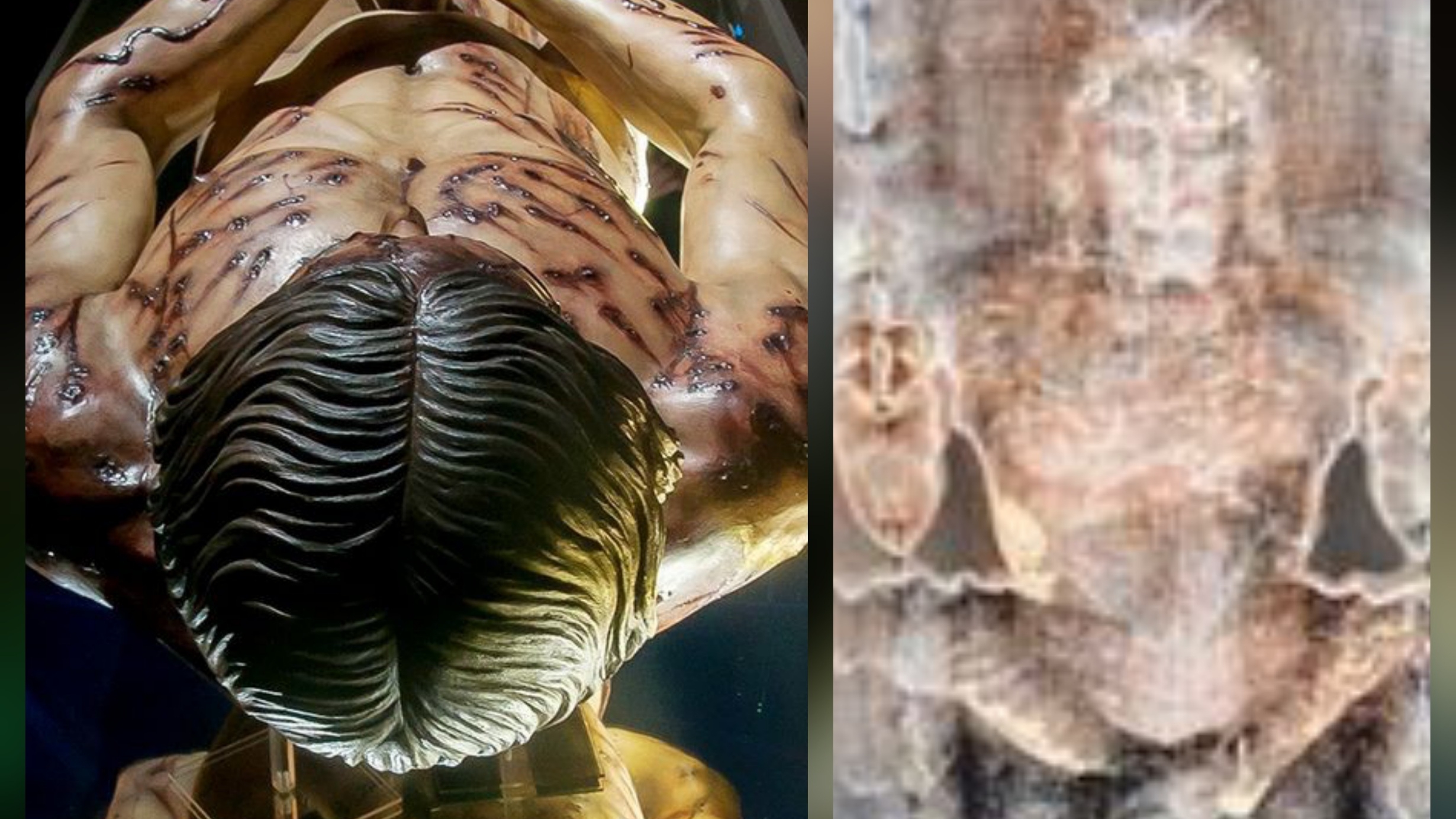 Ученые обнаружили ДНК на Плащанице, то что они обнаружили доказывает её древнее происхождение.