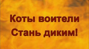 Коты воители Стань диким! 1 серия