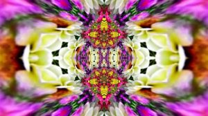 Футажи! Футаж Очаровательные фантастические пейзажи 5!