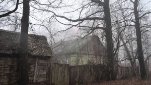 Страшные истории про лес и деревню    Охотничьи байки.