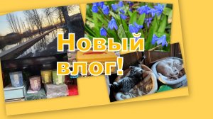 ВЛОГ: ОБО ВСЕМ И НИ О ЧЕМ... ДОМА И В МАГАЗИНЕ...