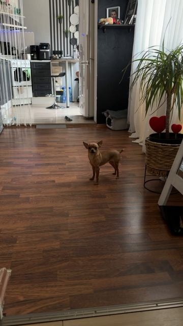 03-04-2026 Тренированный малыш.