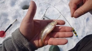 Сезон зимней рыбалки 2026 закрыт