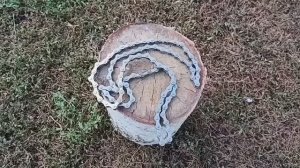 КАК УКОРОТИТЬ ЦЕПЬ ВЕЛОСИПЕДА ЛЕГКО И ПРОСТО