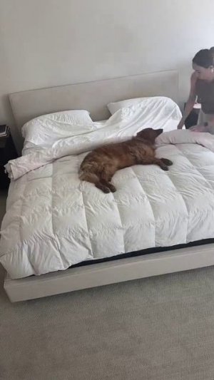 Моральная поддержка на высочайшем уровне