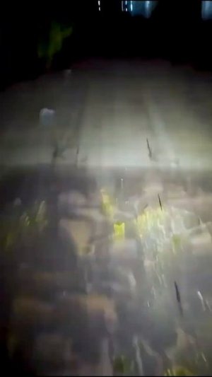 УГРОЖАЮТ РУЖЬЕМ ЗА ПАРКУР