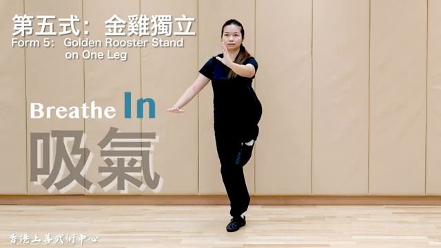 八式太極拳鏡面教學及呼吸指引8 Forms Tai Chi Quan Mirror Demonstration And Breathe Guidelines 4k 字幕版 八式太極拳