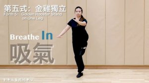 八式太極拳鏡面教學及呼吸指引8 Forms Tai Chi Quan Mirror Demonstration and Breathe Guidelines 4k 字幕版 八式太極拳