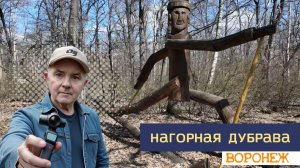 Нагорная дубрава, Воронеж 03.04.26г