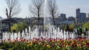 УТРЕННЯЯ ПОЧТА! РАБОТАТЬ 6 ДНЕЙ ПО 12 ЧАСОВ!  ВАСЕВСКИЕ И ПИЦЦА ТОПОРОМ!