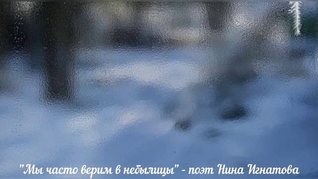 Мы часто верим в небылицы - поэт Нина Игнатова