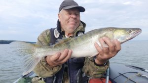 Ловить судака? - берите тролл-ридж!