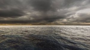 Больная любовь, в этой песне всё: тоска, любовь, отчаяния