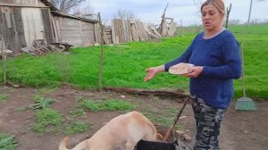 ЧТО Же Он ТАМ ЗАБЫЛ? Пришел В ГОСТИ, Он БЬЁТСЯ!