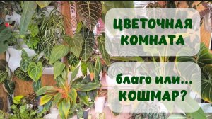 ЦВЕТОЧНАЯ КОМНАТА , расширение 2,0 часть 0. СЕКРЕТЫ И МАТЕРИАЛЫ. 03-04-2026