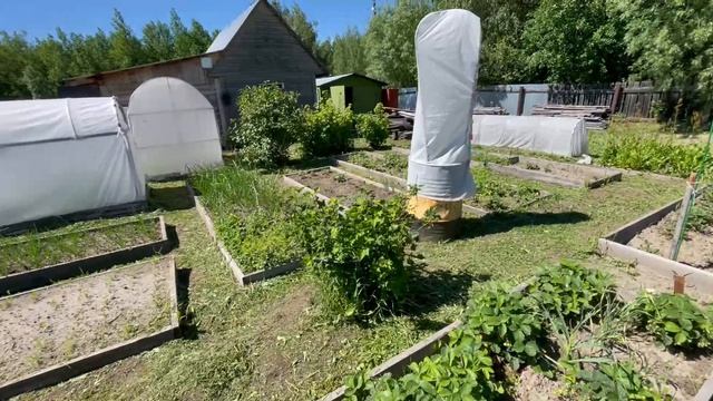 -3467593994549649386