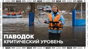 Паводковая ситуация в некоторых муниципалитетах Подмосковья подошла к критическиму - Москва 24