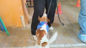 Региональный фестиваль «Вместе» (2 апреля 2026г.)