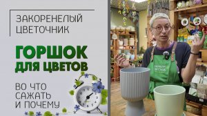 Горшок для цветов. Кашпо для цветов. Что выбрать. Во что сажать комнатные растения и почему.