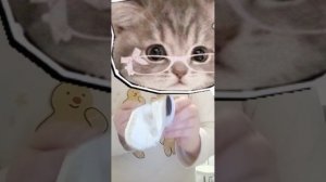 делаю из киндера и йогурта вкусняшку