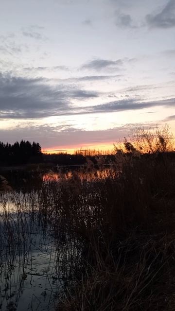 Красивый закат над озером 02.04.2026 г.