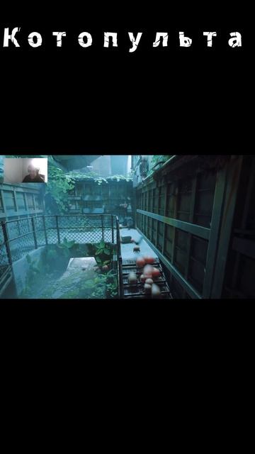 Тупик  #прохождение #stray