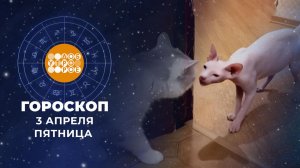 Гороскоп на 3 апреля. Доброе утро. Фрагмент выпуска от 03.04.2026
