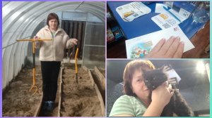 Культиватор Торнадо.Купила и посадила